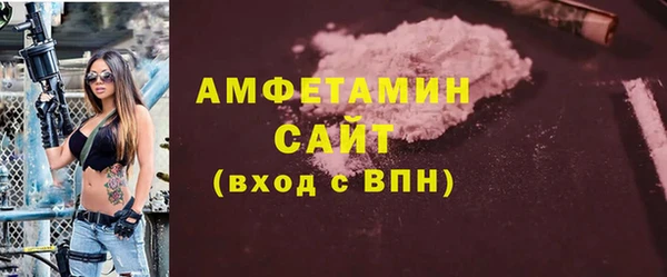 соль ск Новозыбков