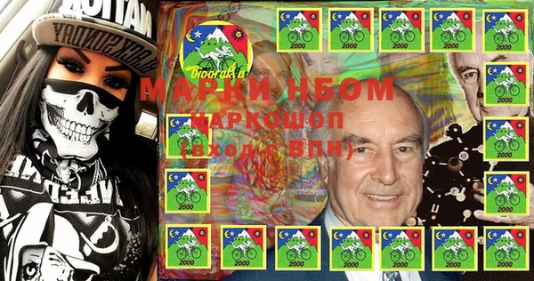 индика Новокубанск