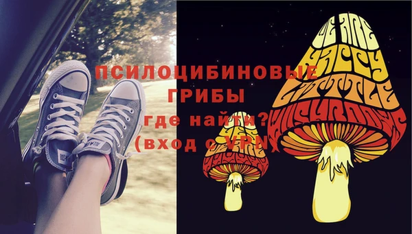 не бодяженный Арсеньев
