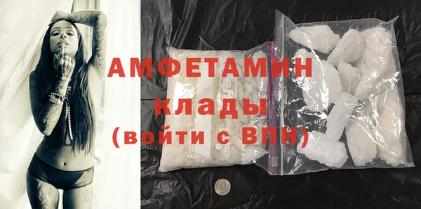 соль ск Новозыбков