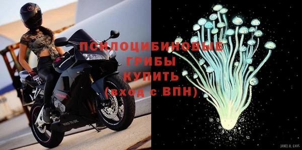 не бодяженный Арсеньев