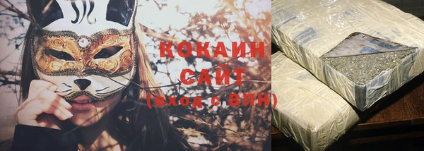 индика Новокубанск