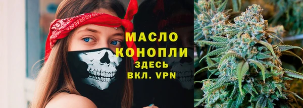 индика Новокубанск